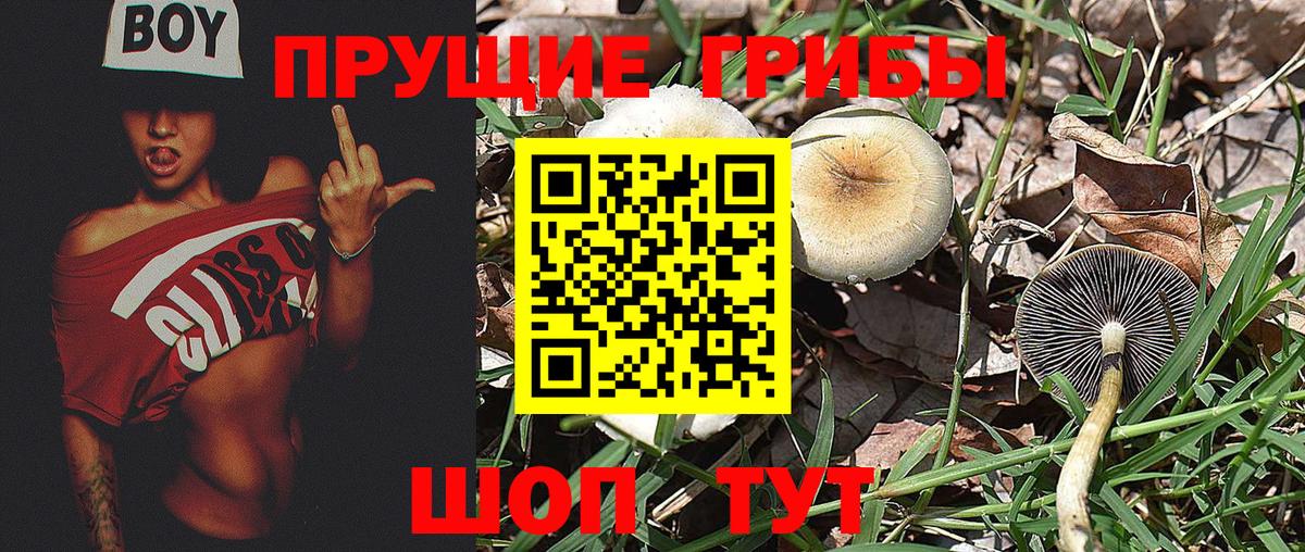 Псилоцибиновые грибы MAGIC MUSHROOMS Гусев