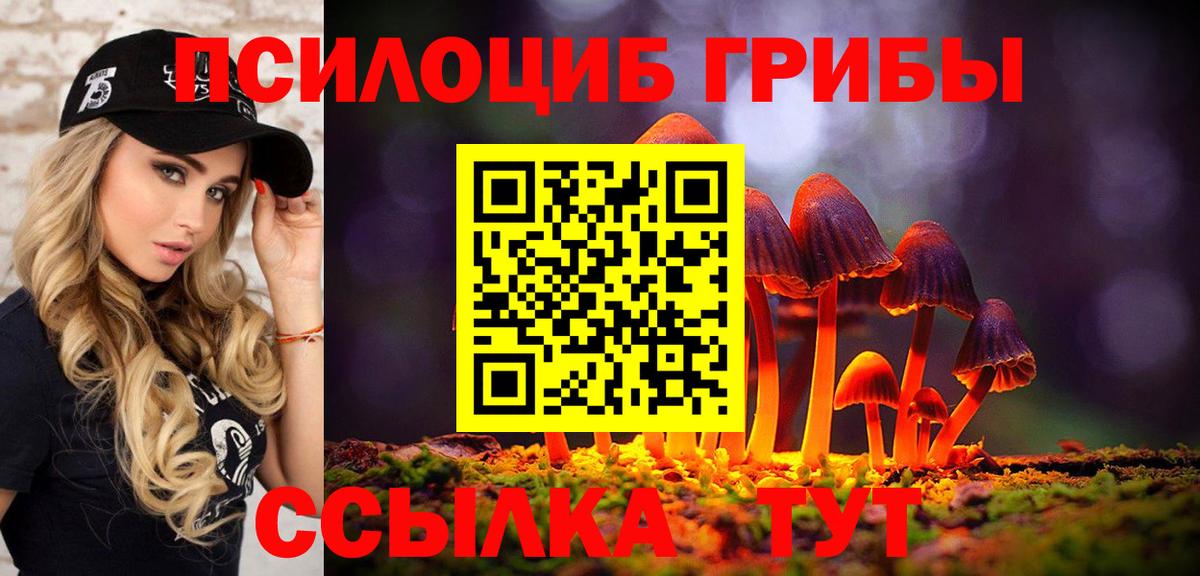 Гусев  Псилоцибиновые грибы мухоморы  Вход с VPN 