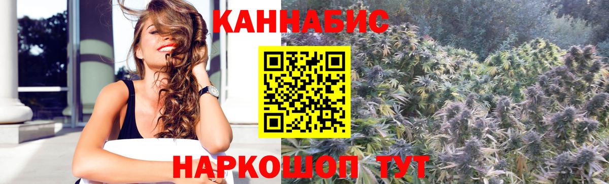 Бошки Шишки гибрид  Вход с VPN  Бошки Шишки LSD WEED  Гусев  Канабис VHQ 